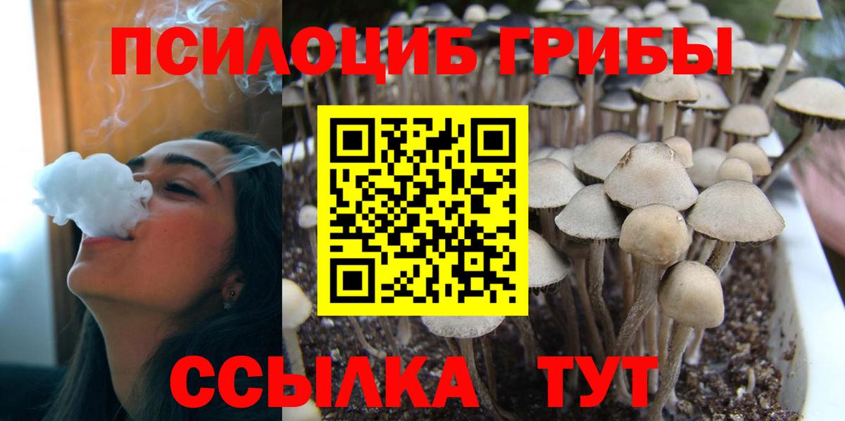 Галлюциногенные грибы GOLDEN TEACHER  Вход с VPN  Заречный  Псилоцибиновые грибы Magic Shrooms 
