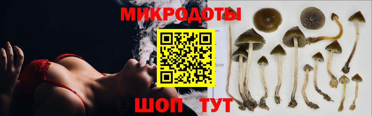 Псилоцибиновые грибы прущие грибы Заречный